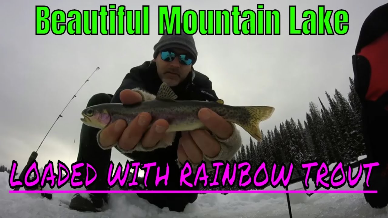 Ice Fishing Rainbow Trout at Nancy Greene Lake BC YouTube