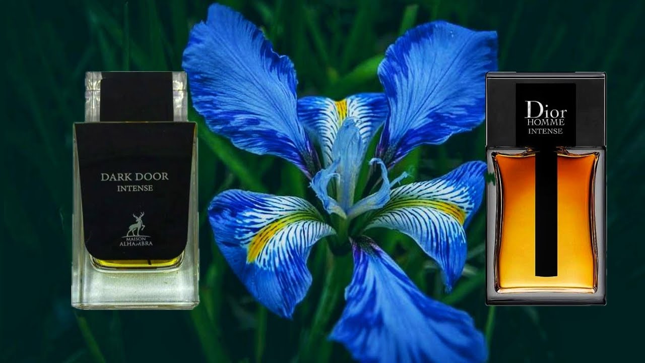 Maison Alhambra Dark door intense and Dior homme intense comparison.