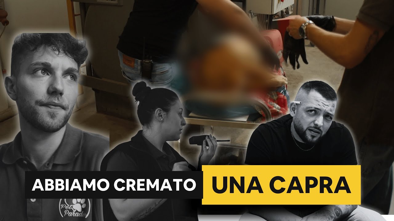 COME AVVIENE LA CREMAZIONE DI UN ANIMALE
