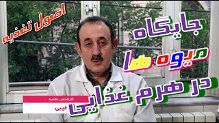 جایگاه میوه ها در هرم غذایی - متخصص تغذیه آقای حسن فرهادغیبی