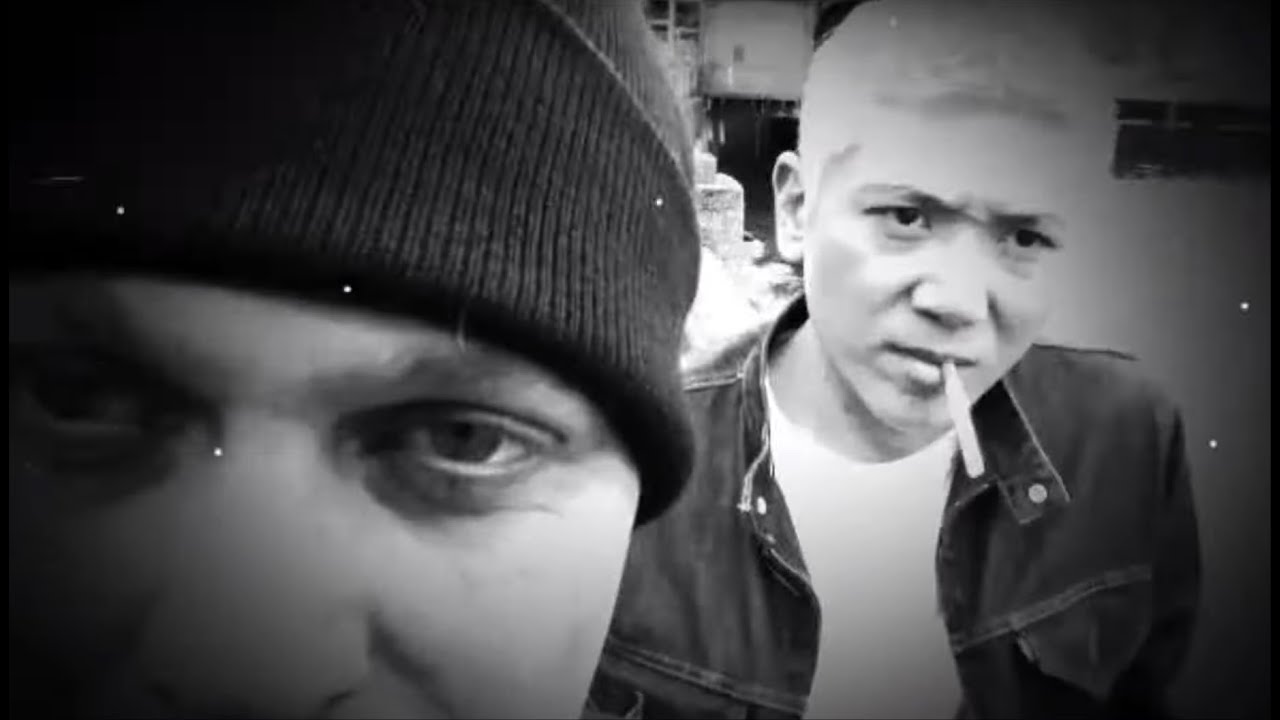 LOS GATOS LOCOS - PSYCHOBULLY - YouTube