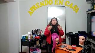 Dra. Fermina Filena Salazar Obregón. peinado de alta fantasía
