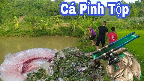 Cá Nướng Cá Pỉnh Tộp Món truyền thống Tây Bắc ,Câu cá thư giãn #NSTB#khoailangthang#NetQue#
