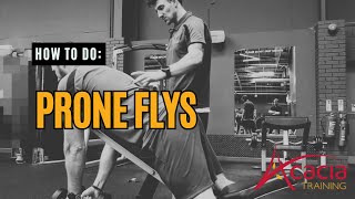 How to Perform Prone Dumbbell Flys | Proper Form for Rear Deltoids and Upper Back Strength