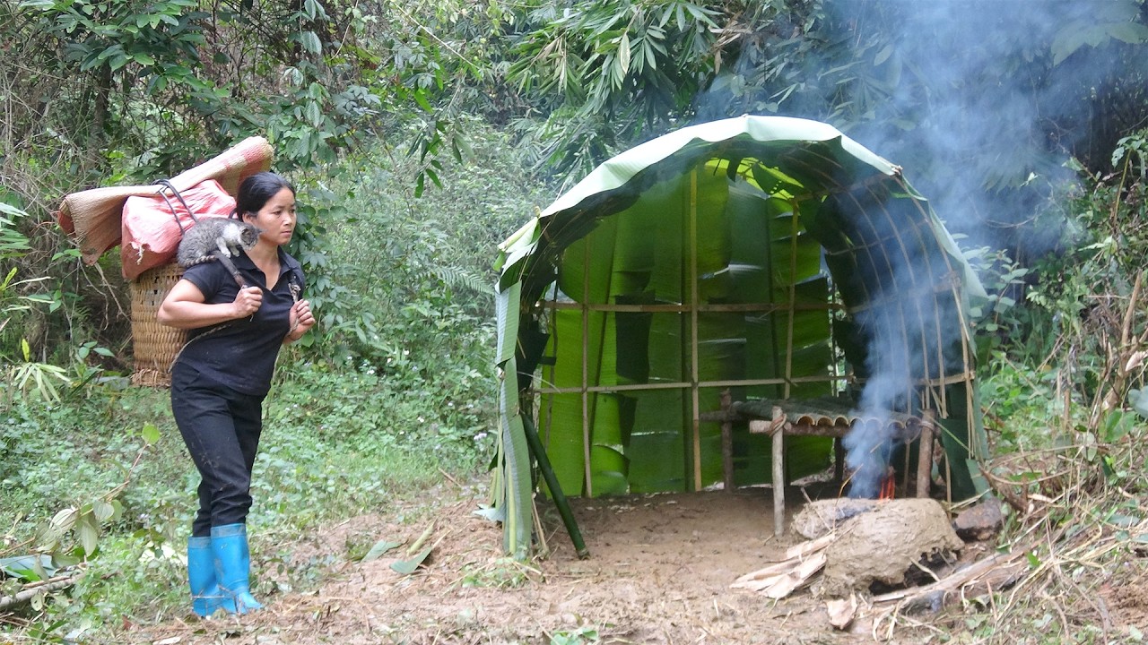 Timelapse 30 days of Homeless girl build shelter survive in the ...