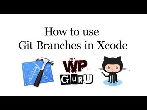 How to use Branches in Xcode