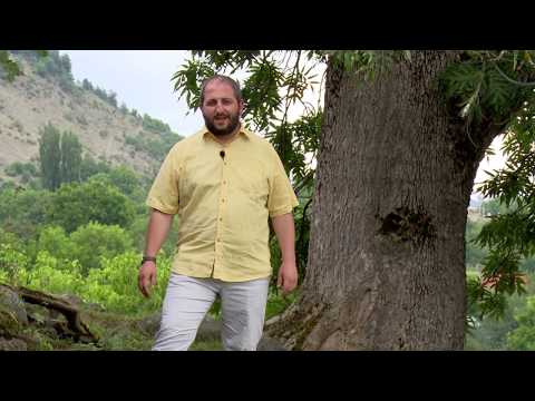 ეთნოფორი • etnopori (ანონსი / რიგით 111-ე) 21.09.2017წ