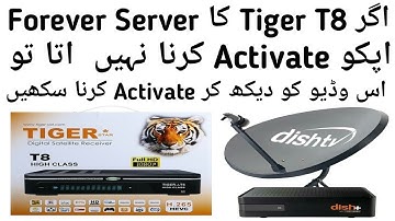 How to Activate Forever Server in Tiger T8 High Class