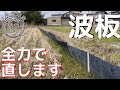 畦畔の波板直します！