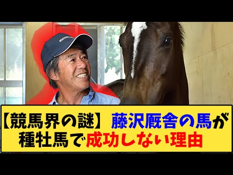 【競馬】｢【競馬界の謎】藤沢厩舎の馬が種牡馬で成功しない理由」に対する反応【反応集】