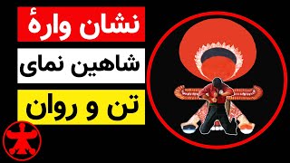 کونگ فو توآ:نشان وارهٔ شاهین نمای تن و روان | کامران دهشجو