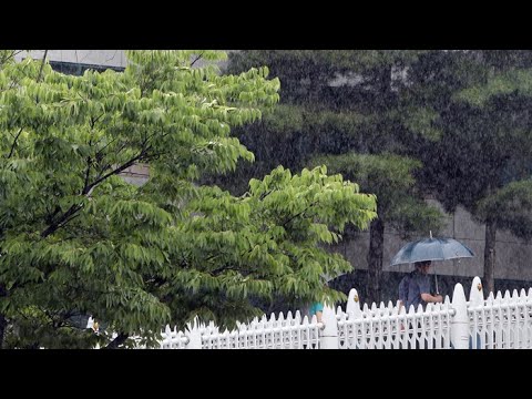 [뉴스초점] 본격 장마 시작, 중부 호우예비특보…250mm 폭우 / 연합뉴스TV (YonhapnewsTV)