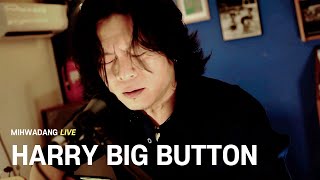 해리빅버튼 HARRY BIG BUTTON  / Drifter [MIHWADANG LIVE]