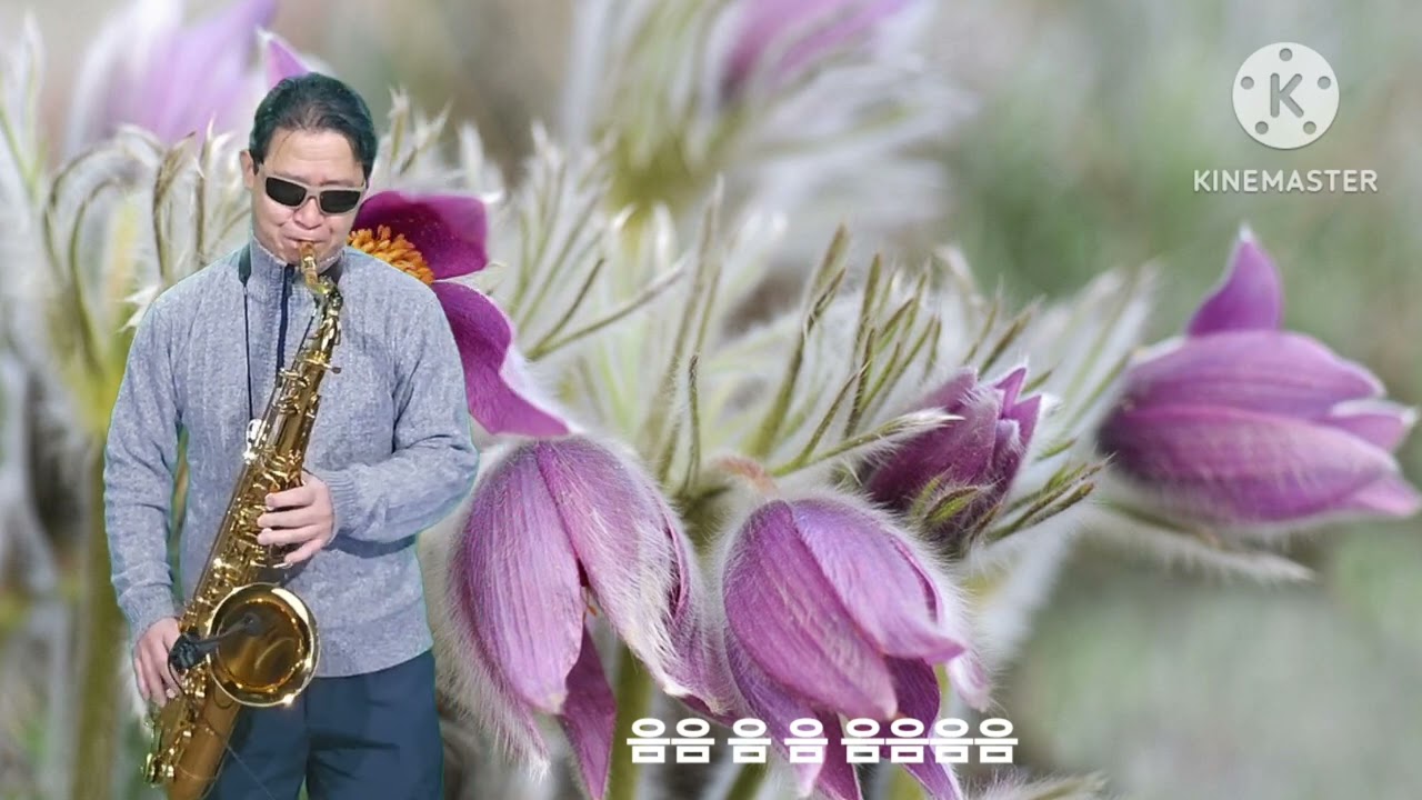 하얀나비(김정호)