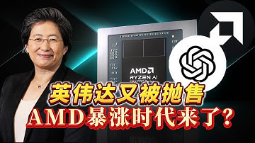 AMD暴涨9%，苏妈预告80%增速赌AI未来，AMD起飞时代真的真要来了吗？