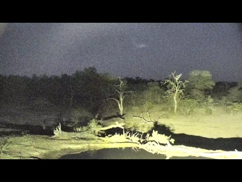 Djuma Private Game Reserve Live Stream Djuma Private Game Reserve Live Stream