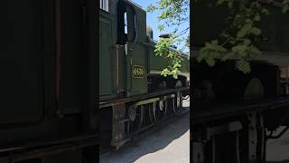 An unintentional ASMR yard walkabout on the South Devon Railway