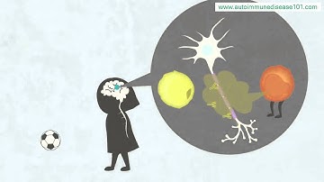 The Immune Attack  Multiple Sclerosis - living with multiple sclerosis