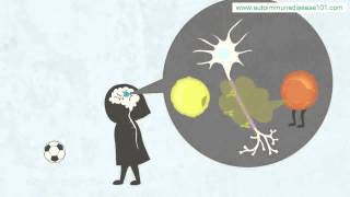 The Immune Attack  Multiple Sclerosis - living with multiple sclerosis