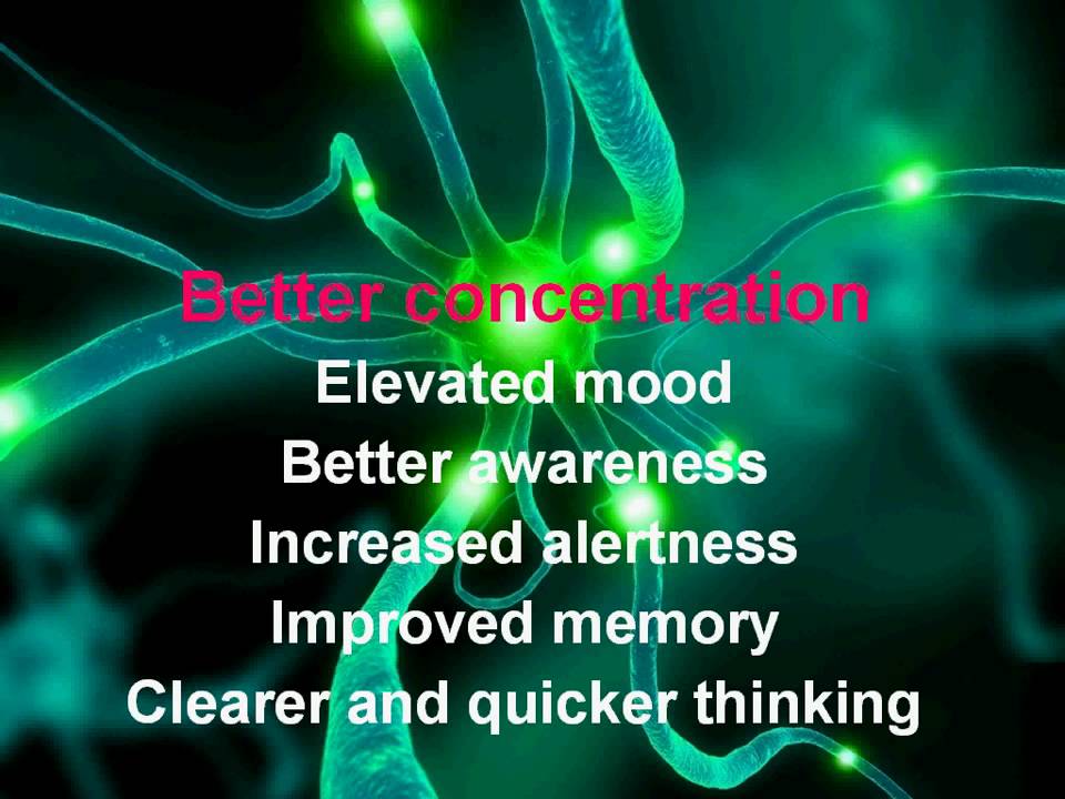 online brain training program