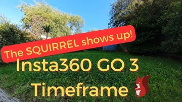 Insta 360 GO 3 Timelapse - The local SQUIRREL made an appearance!