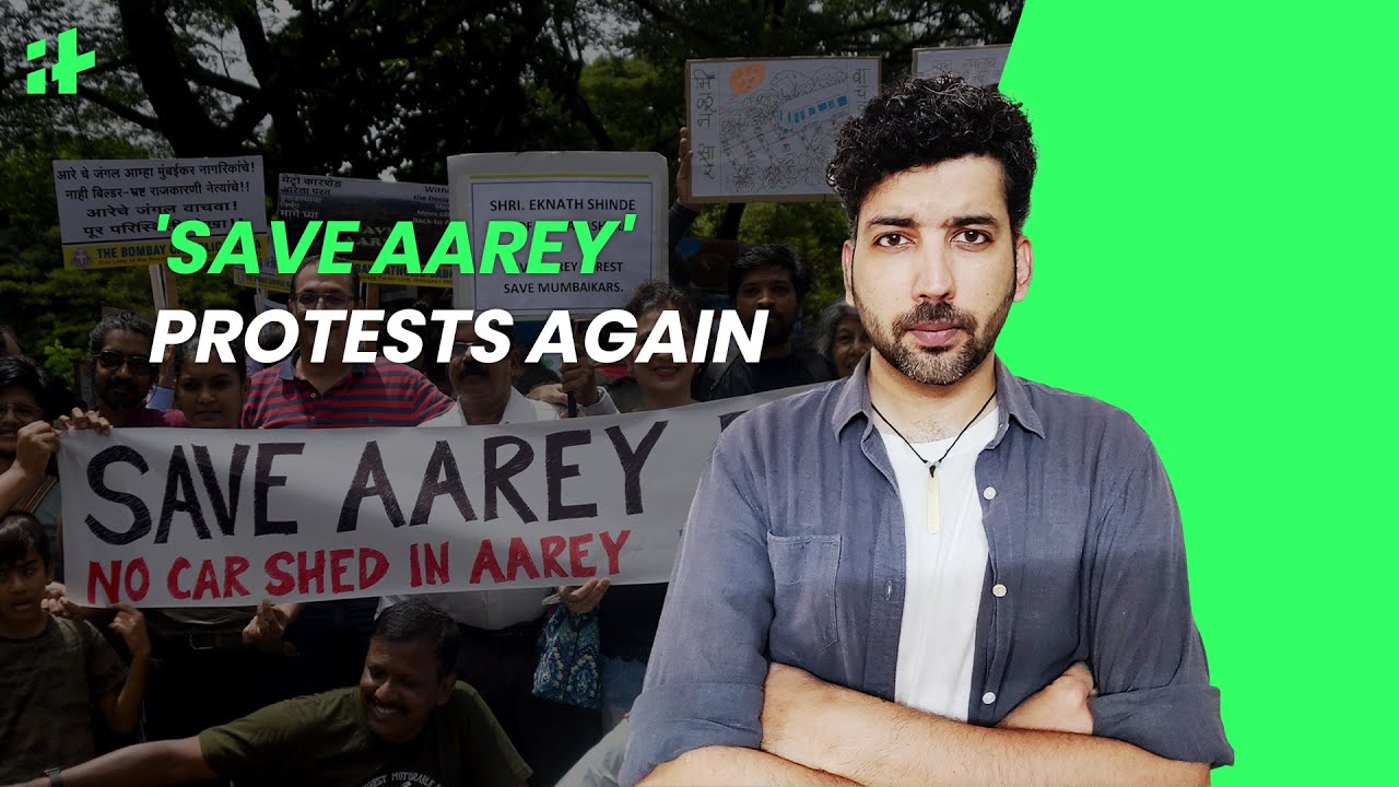 'Save Aarey' Protests Begin Again