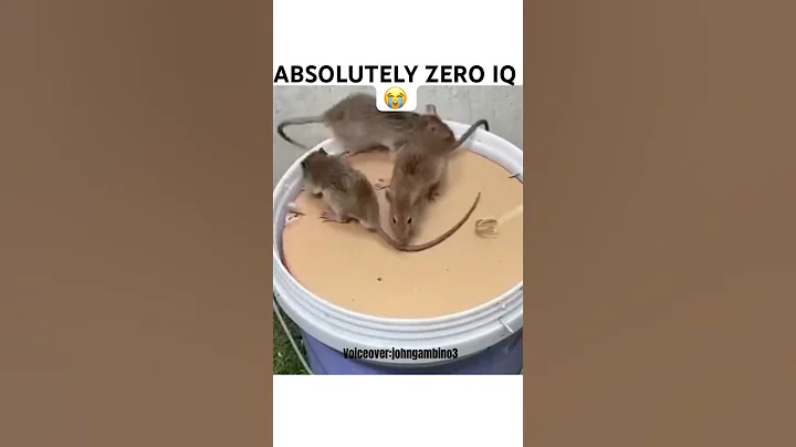 Aint no way no one caught on😂😂😂 #voiceover #comedy #funny #trap #shorts #viral