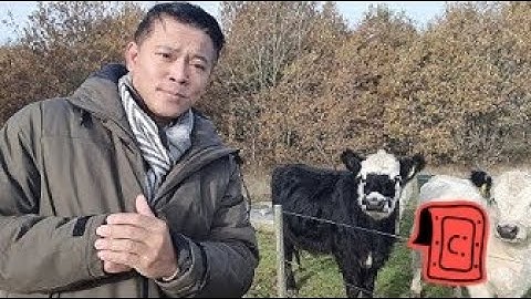 Trump & Tập: Cuộc đấu trí ai đã thắng - VN, Vàng và những nguy cơ ? - Ngày 01/11/2025.