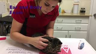 Pembroke Animal Hospital