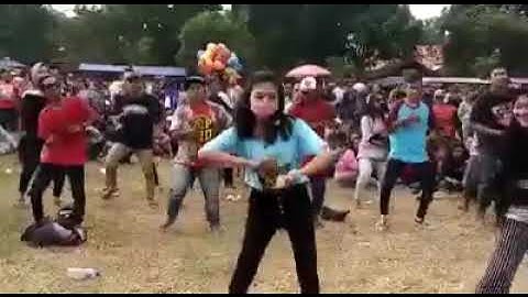 New pallapa live batang goyang damai snp.id