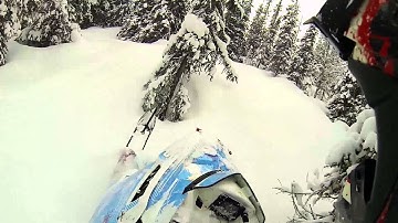 Pro RMK in the trees!  [weekend edit]