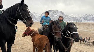 картинка: 17 ноября 2025 г. Айдаркен эшме аламан улак