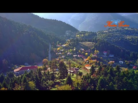 ΜΙΧΑ - ΤΣΑΠΟΥΡΝΙΑ,