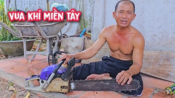 Chủ nhà kêu Vua Khỉ 8 năm trời mới cưa dùm cây Xoài Cát Chu lớn sắp ngã (Phần đầu).