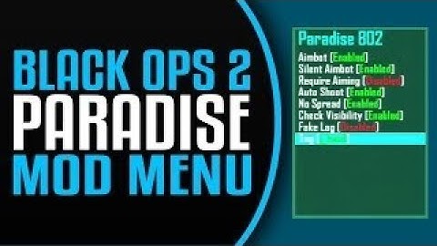 (Bo2/1.19 ) paradise modmenu recorded by PSNinja TM