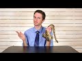 Beginning of video