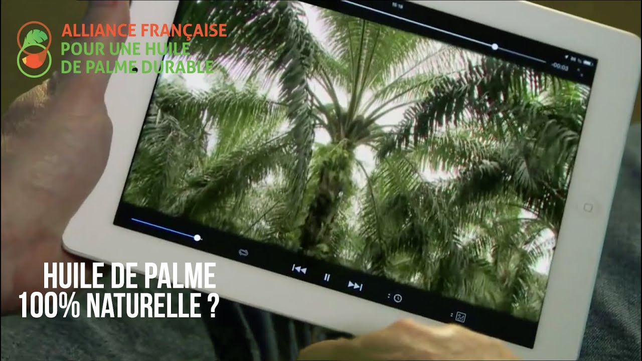 L'huile de palme, 100% naturelle - YouTube