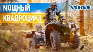 Полноприводный квадроцикл Striker 700 EFI. На что он способен?