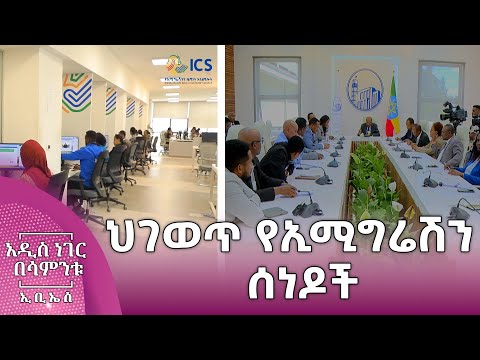 ህገወጥ የኢሚግሬሽን ሰነዶች ህዳር 13 2018 What S New Nov 22 2025