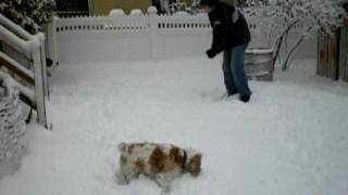 snow 2-20-10 002.AVI