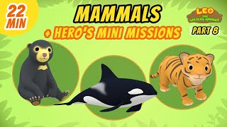 Mammals (Part 8/8)  Junior Rangers and Hero's Animals Adventure | Leo the Wildlife Ranger