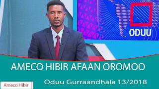AMECO HIBIR: Oduu Gurraandhala 13/2018