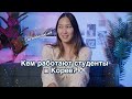 Кем работают студенты в Корее? | Где работаю я?