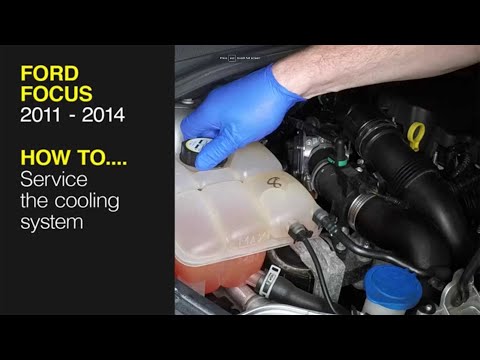 Ford Focus (2011 - 2014) -  Coolant Change