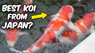 Tour Through WORLD'S MOST FAMOUS Koi Farm?