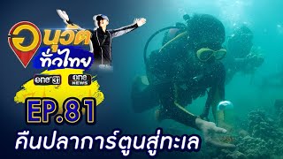 เพาะพันธ์ุปลาการ์ตูน คืนสู่ทะเล เกาะกระดาน จ.ตรัง | อนุวัตทั่วไทย | EP 81 | ข่าวช่องวัน | one31