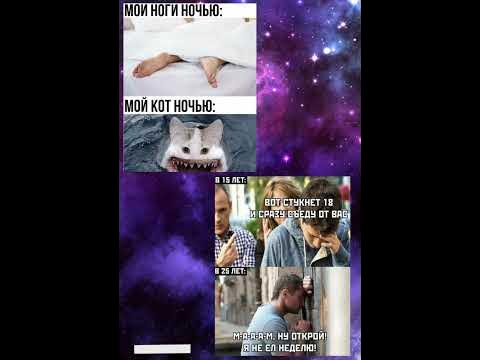 Супер мега мемы!#рекомендации #shorts - YouTube