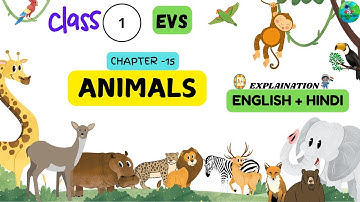 Class -1 | EVS | Chapter- 15 | Animals | The World Around Us| EVS Textbook coursebook |