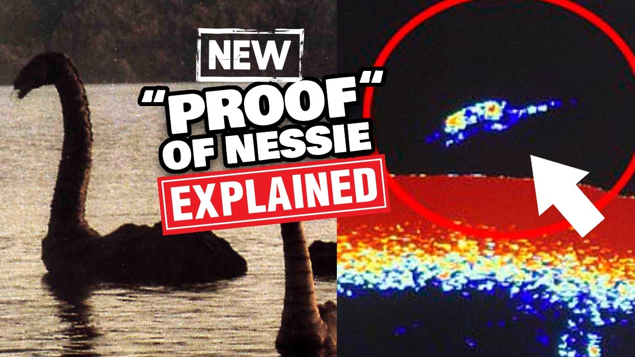 2024 Proof of the Loch Ness Monster! Do New Sonar Scans Really Reveal Nessie? (UPDATE)