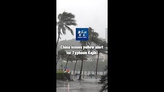 Xinhua News | China issues yellow alert for Typhoon Kajiki